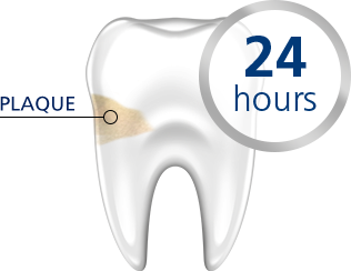Plaque Tooth 24 Hours parodontax Plaque Tooth 24 Hours parodontax