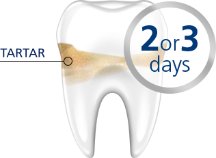 Tartar Tooth Health parodontax Tartar Tooth Health parodontax